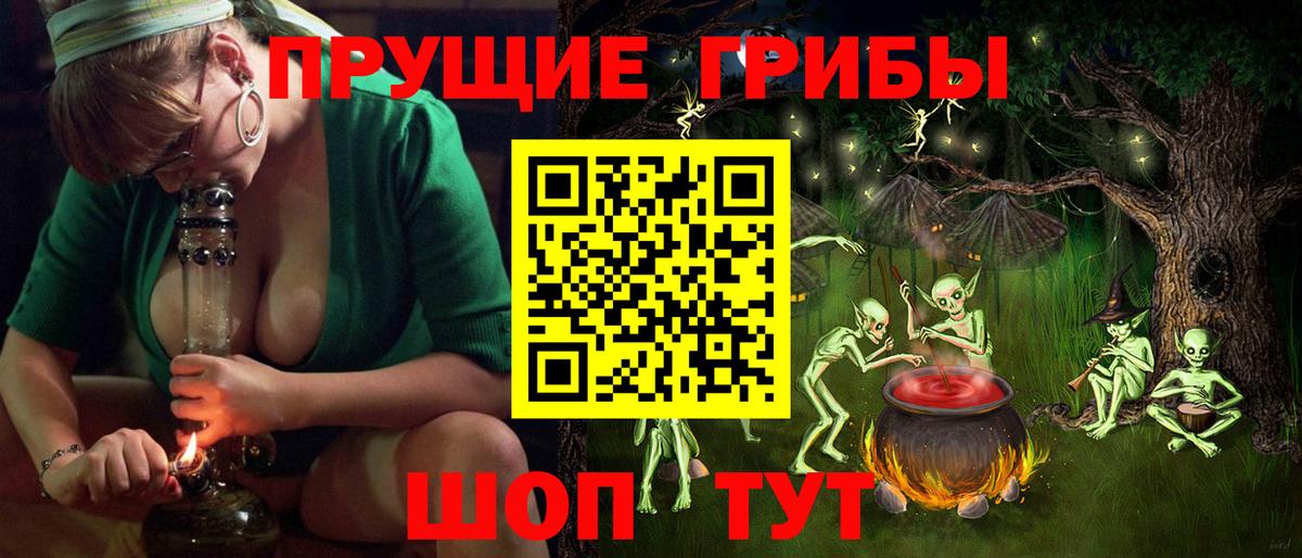 цены   Вход с VPN  Карачаевск  Псилоцибиновые грибы GOLDEN TEACHER 