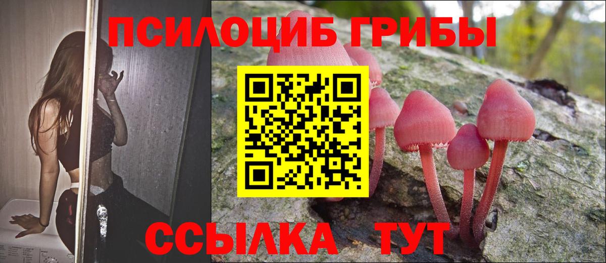 Псилоцибиновые грибы прущие грибы Карачаевск