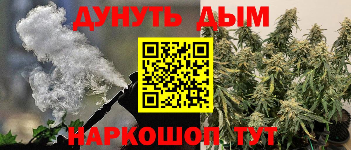 Канабис конопля Карачаевск